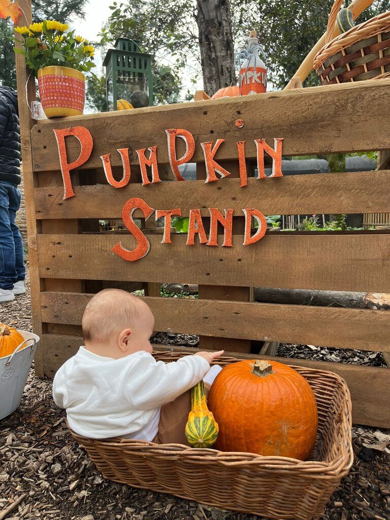 Bambino seduto in un cesto di vimini davanti al banco delle zucche con insegna Pumpkin Stand